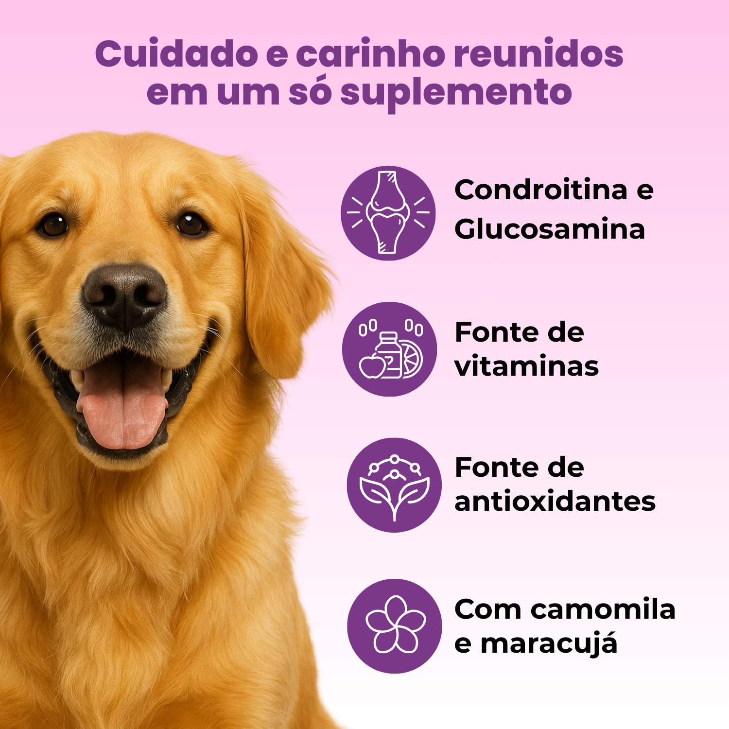Umami | Suplemento Canino Mastigável | 16 em 1 | 240g | Sabor Carne