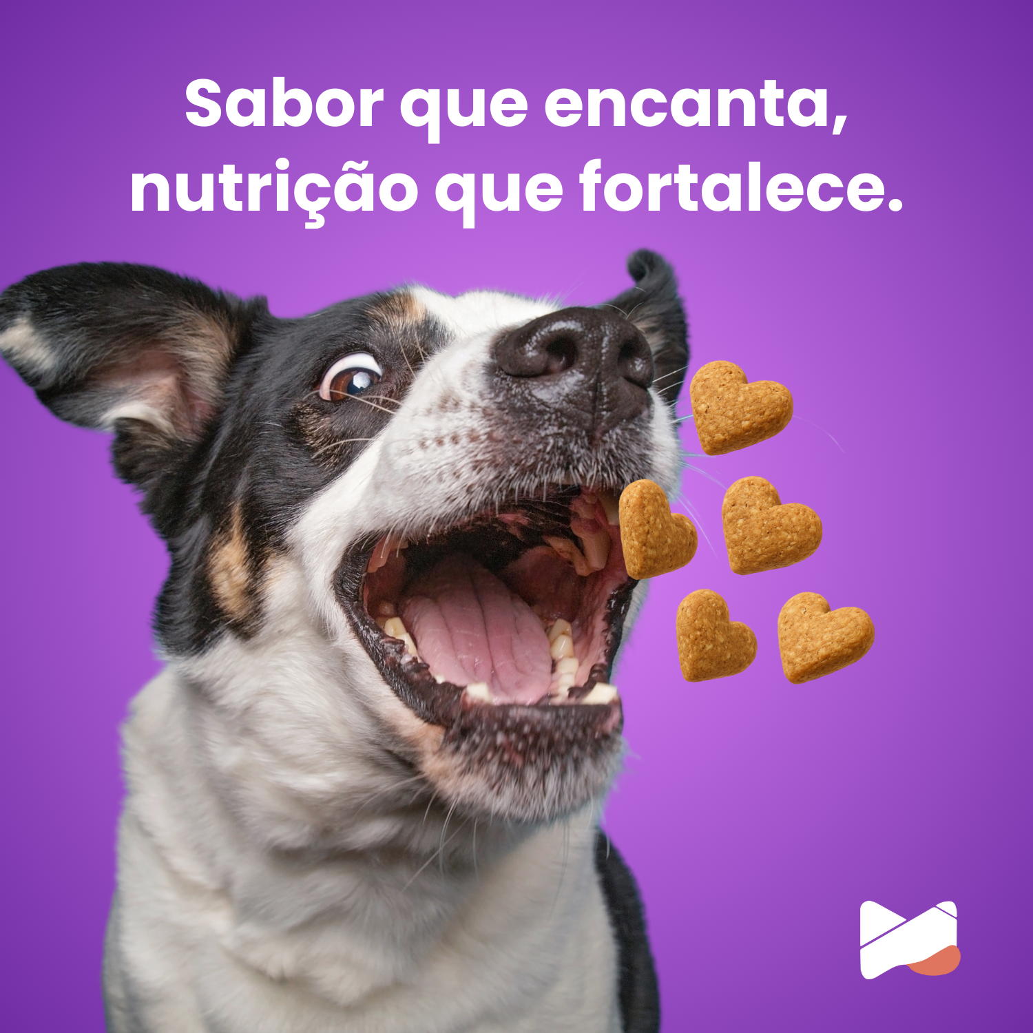 Umami | Suplemento Canino Mastigável | 16 em 1 | 240g | Sabor Carne