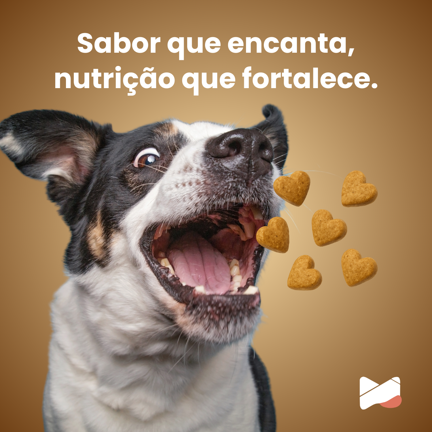 Umami | Suplemento Canino Mastigável | 16 em 1| 240g | Sabor Amendoim