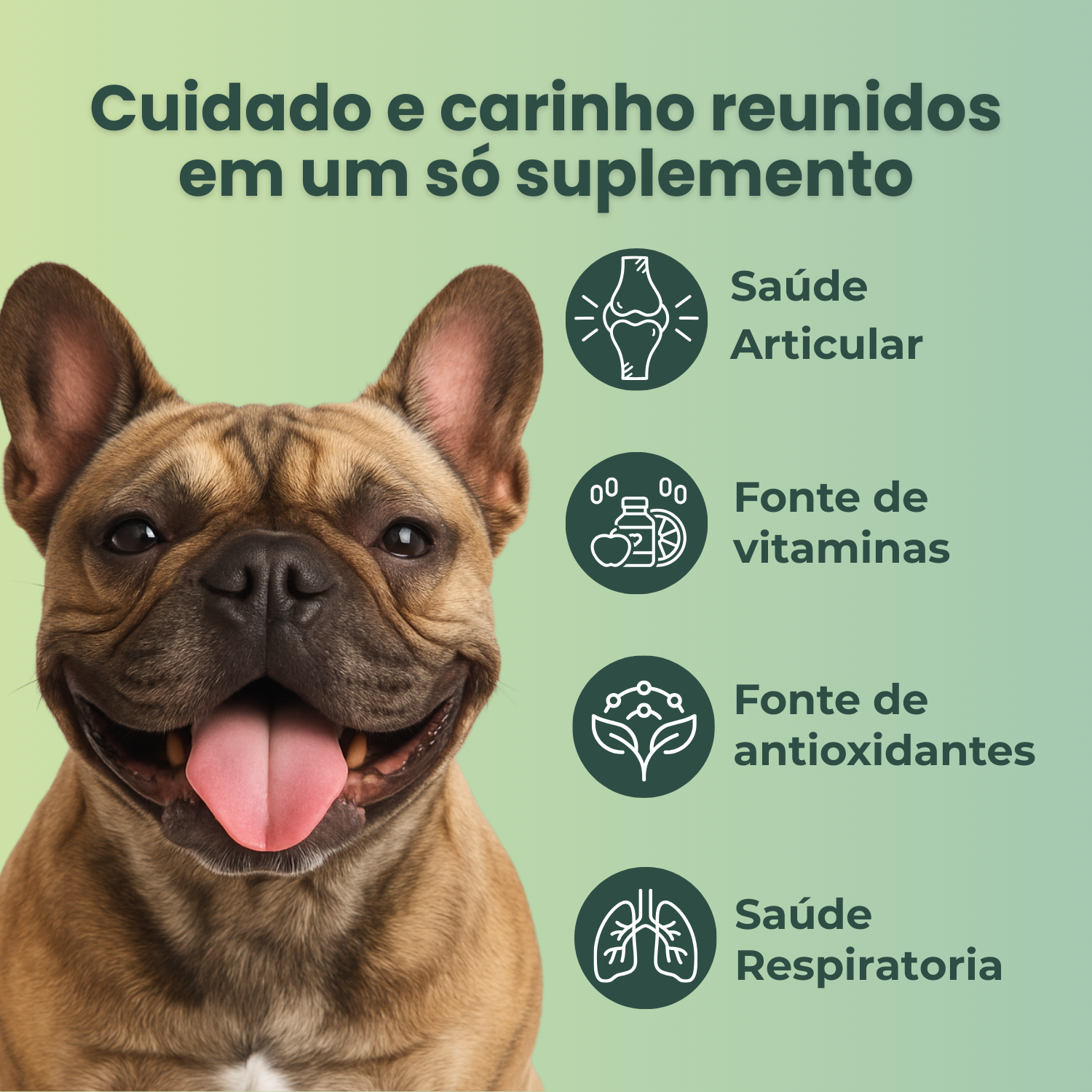 Umami | Suplemento Canino Mastigável | Fórmula Específica - Bulldog Francês | 240g | Sabor Carne
