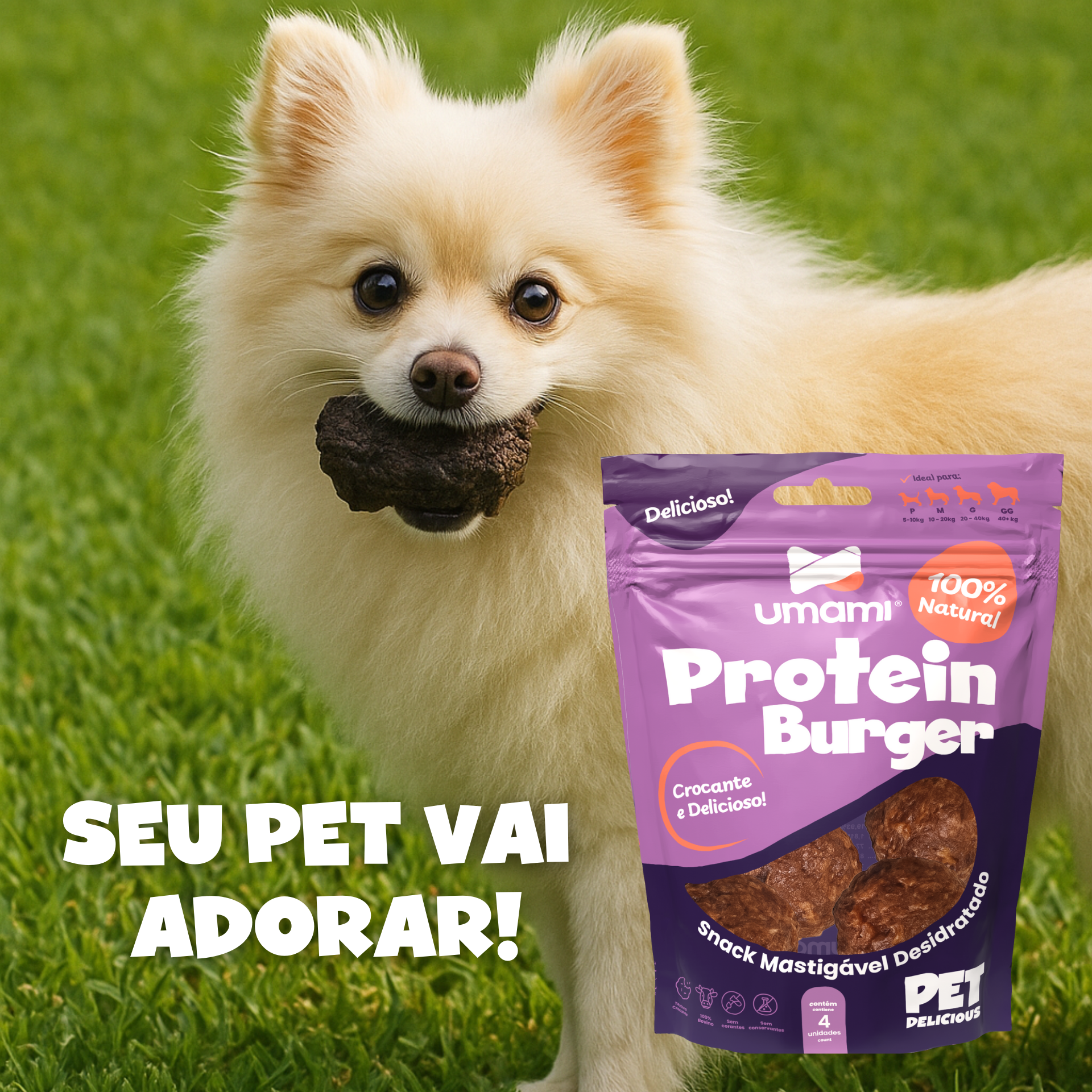 Umami | Kit x 2 Protein Burger | 100% Bovino Natural | Crocante e Delicioso | Enriquecimento Ambiental | Contém 8 unidades