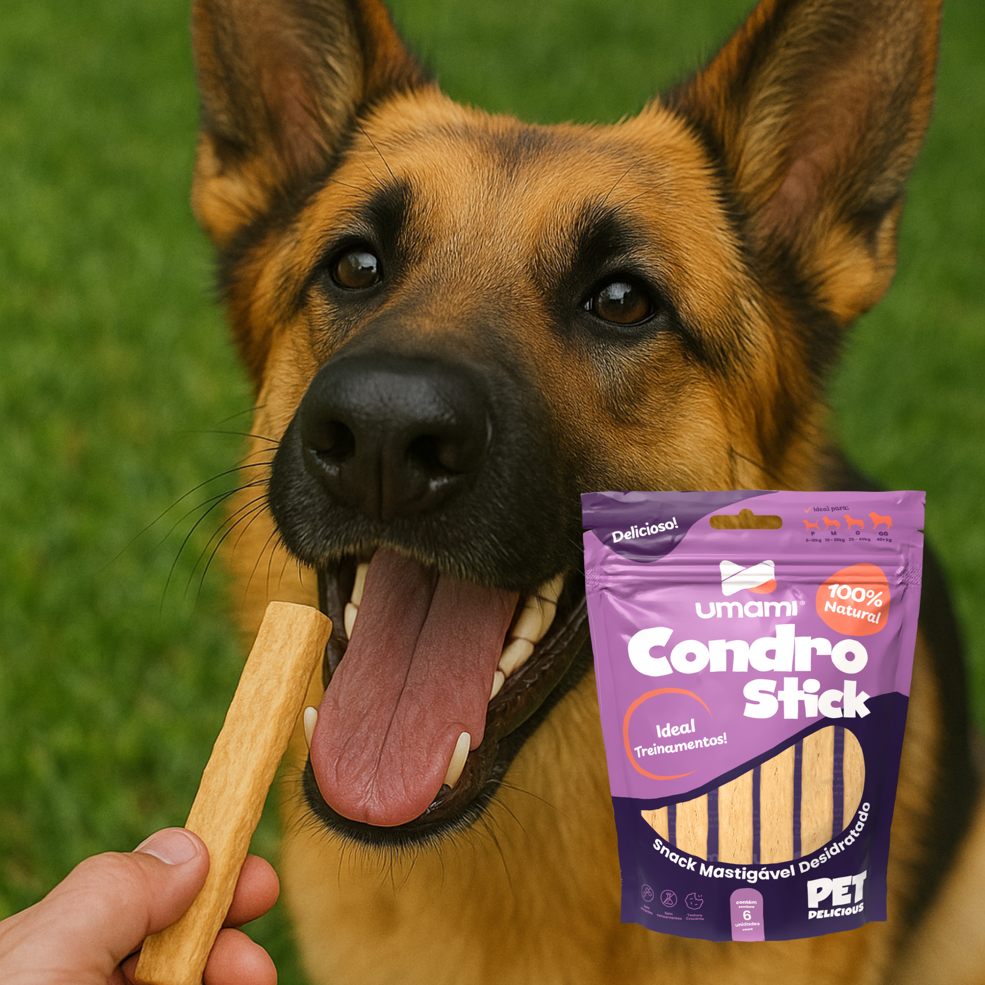 Umami | Kit x 3 | Condro Stick | 100% Natural | Textura Crocante | Ideal para Treinamento | Contém 18 unidades