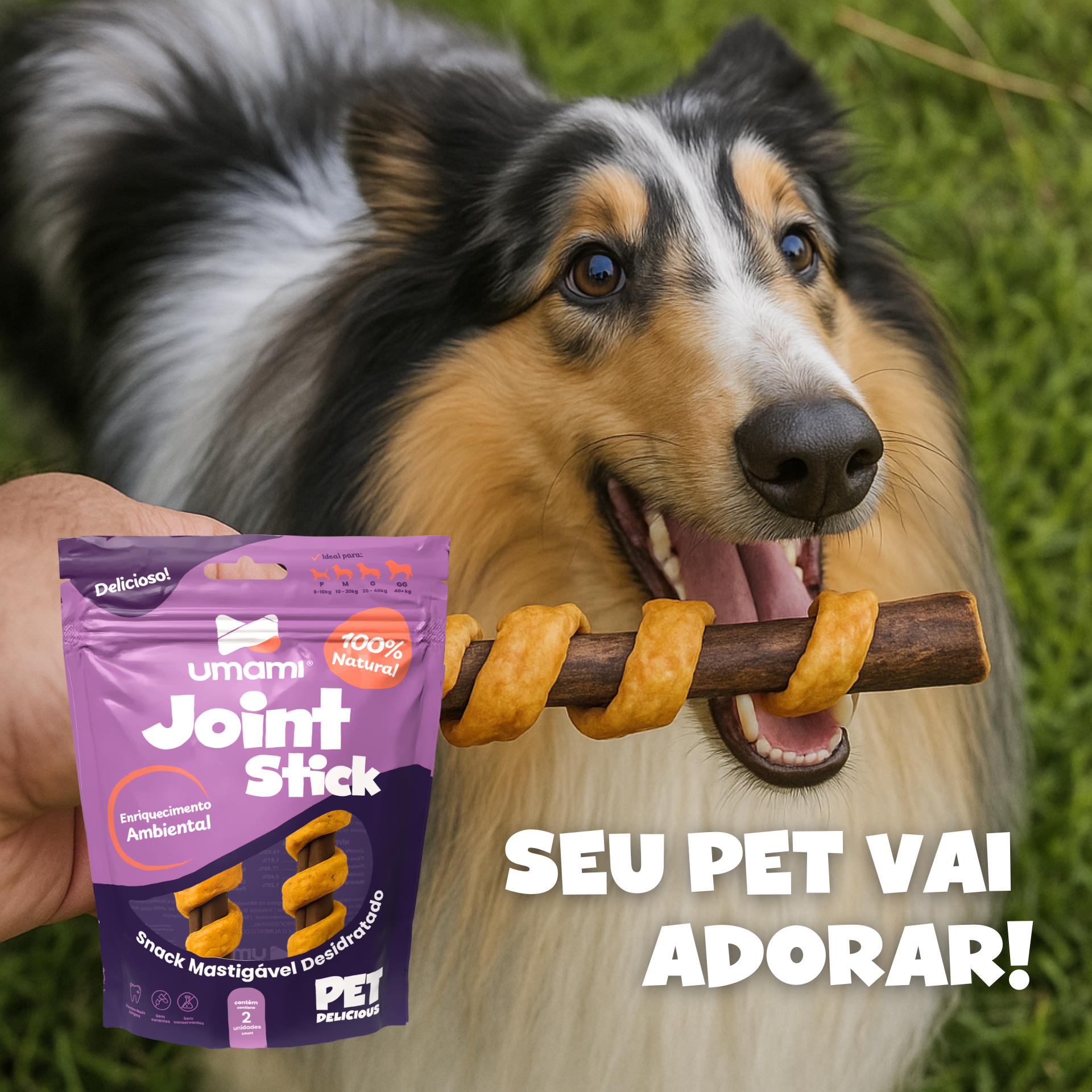 Umami | Kit x2 Joint Stick | 100% Natural | Sem Corantes e Conservantes | Enriquecimento Ambiental | Contém 4 unidades