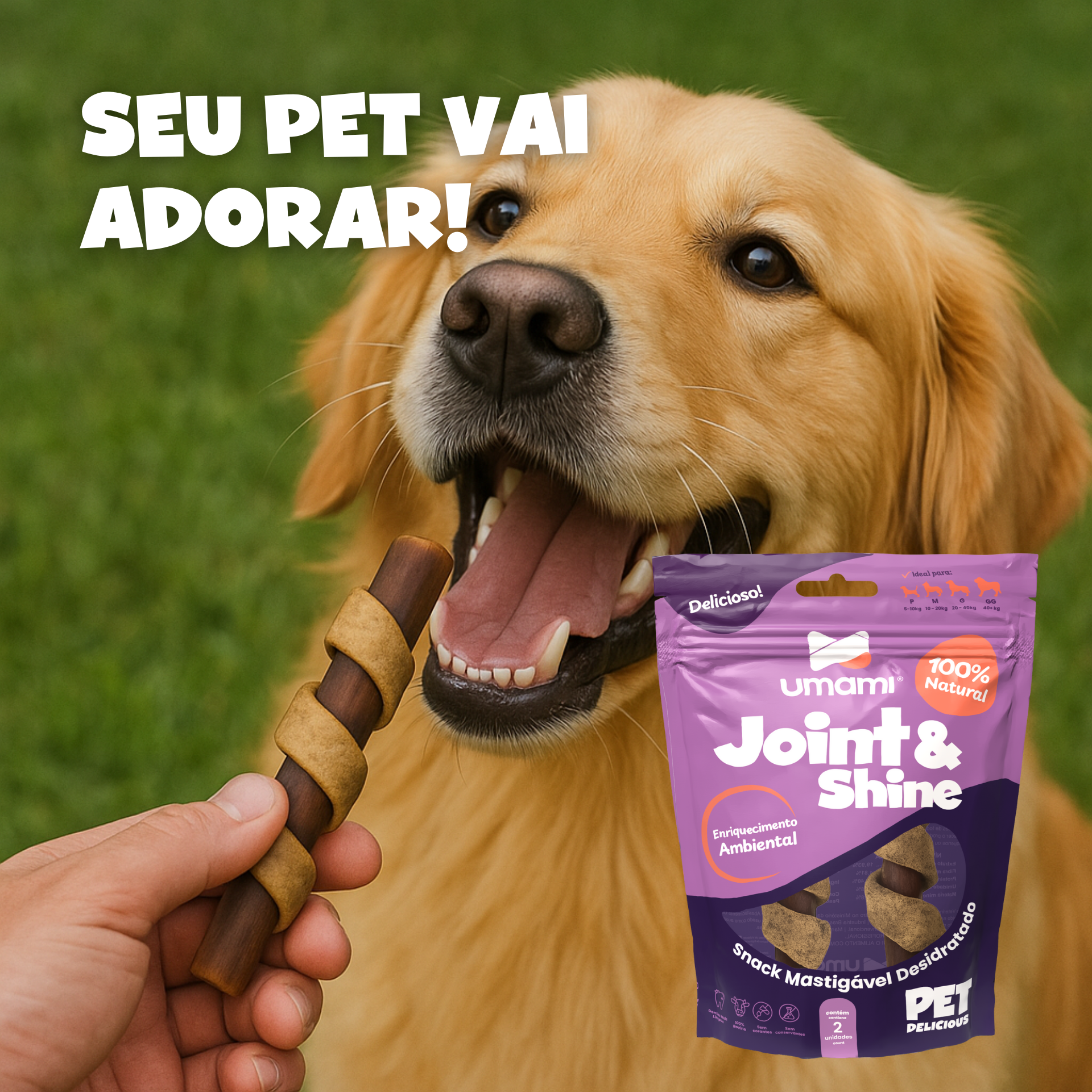 Umami | Kit x 2 Joint & Shine | 100% Bovino Natural | Sem Corantes e Conservantes | Enriquecimento Ambiental | Contém 4 unidades