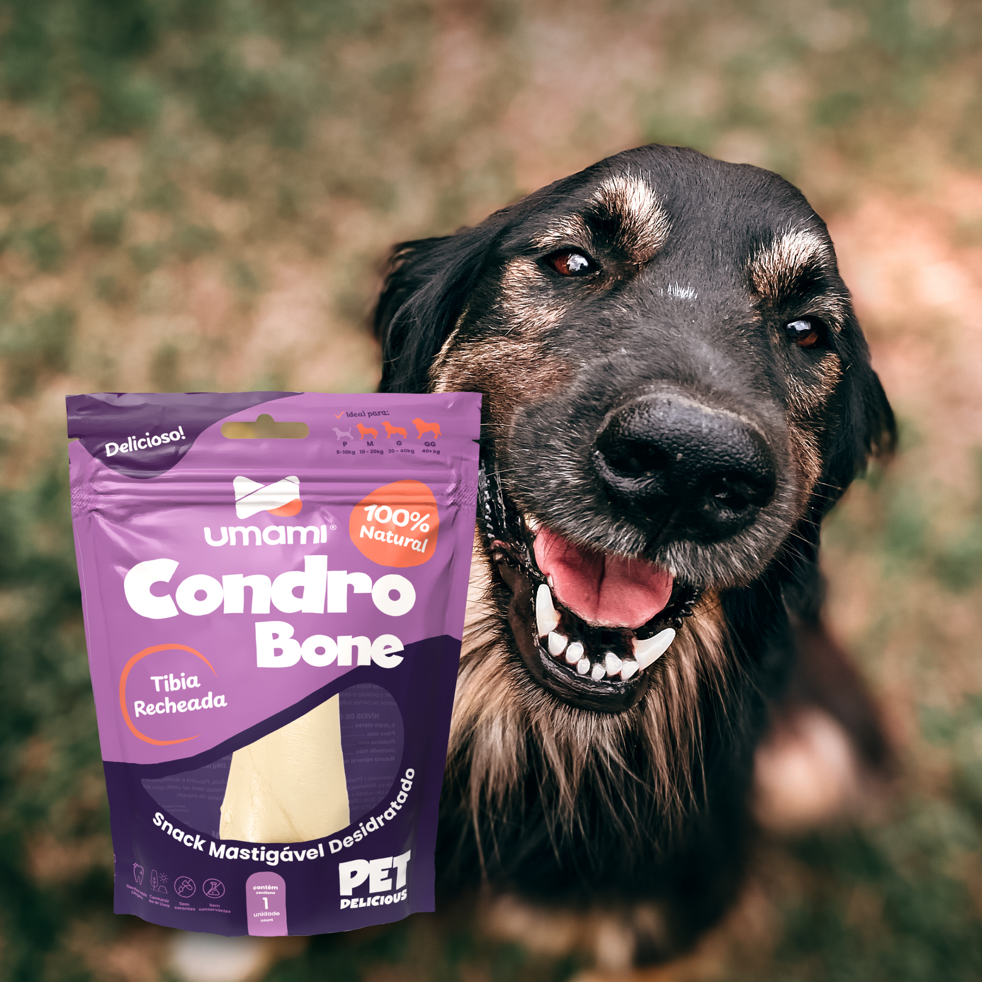 Umami | Kit x2 Condro Bone | Tíbia Recheada Natural | 100% Natural | Ideal ao Ar Livre | Contém 2 unidades