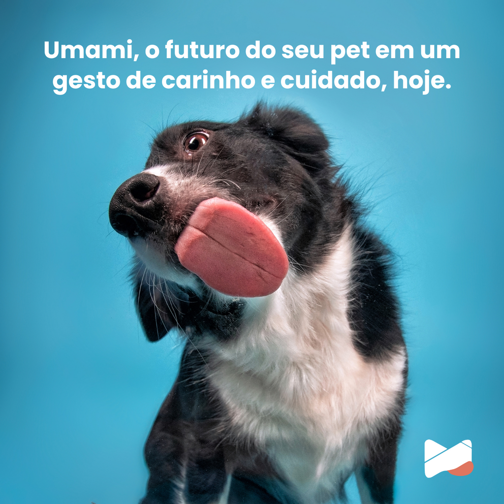 Umami | Suplemento Canino Mastigável | 16 em 1| 240g | Sabor Amendoim