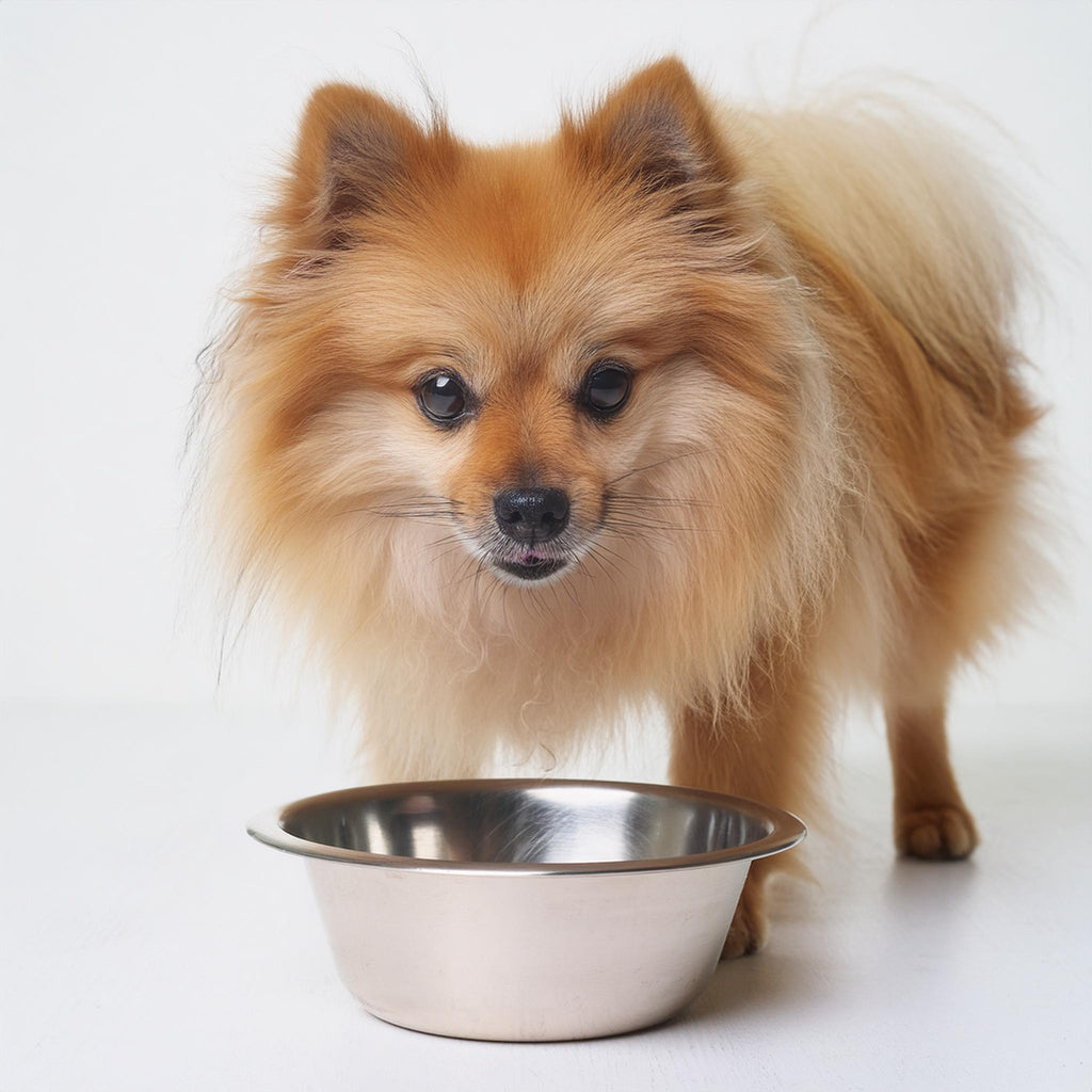 UMAMI PET